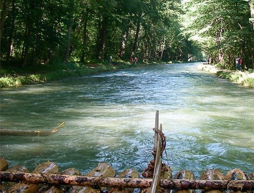 Blick vom Floss auf die strömende Isar im schattigen Waldabschnitt